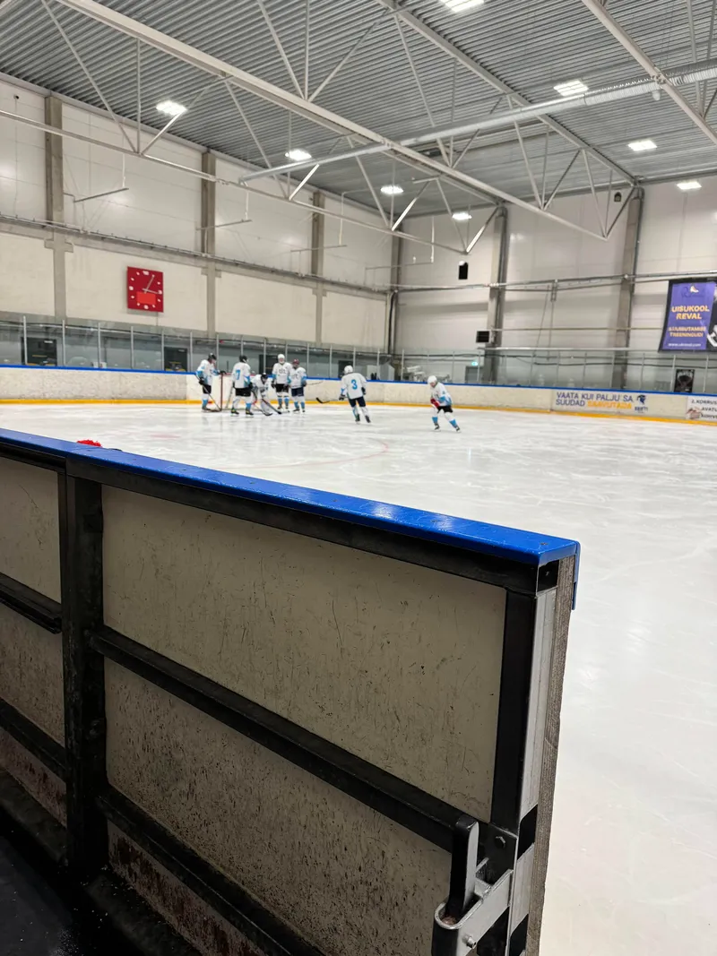 Игра с Kakkumäe Kullid